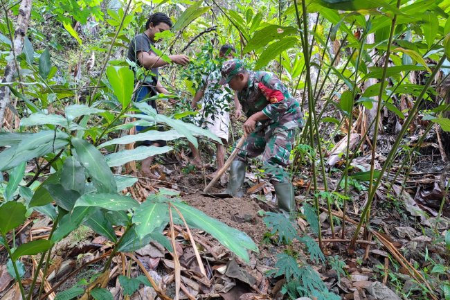 Peduli Lingkungan, Babinsa Bersama Warga Melaksanakan Penanaman Pohon Aren Dan Beringin 