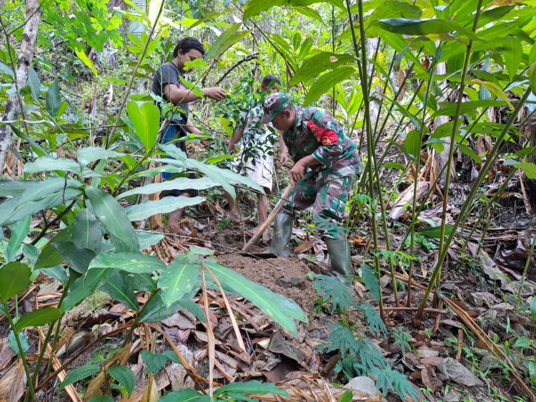 Peduli Lingkungan, Babinsa Bersama Warga Melaksanakan Penanaman Pohon Aren Dan Beringin 