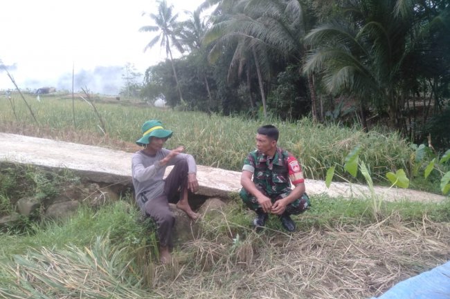 DITENGAH LADANG PETANI(Sawah), BABINSA MELAKSANAKAN KOMUNIKASI SOSIAL