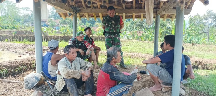 Dukung Program Pemerintah Swasembada Pangan, Babinsa Berikan Motivasi Kepada Petani