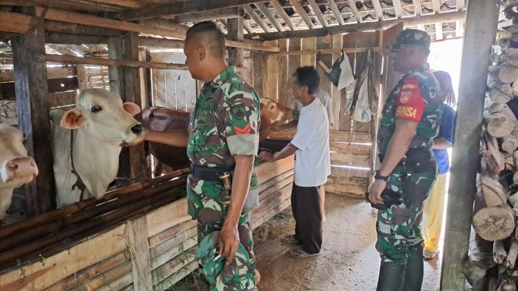 KOMSOS DENGAN PETERNAK SAPI, BABINSA KORAMIL 01/BANJARNEGARA BERIMOTIVASI